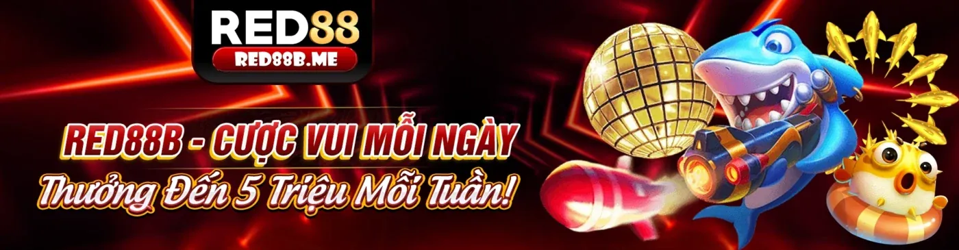 Đá Gà Biendo88 nhà cái